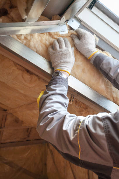 Best Crawl Space Insulation  in Stevensville, MI